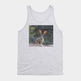 Jackrabbit, rabbit, wildlife, wild animals, Curious Jack Tank Top